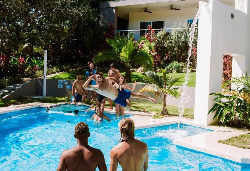 Aves Hotel Montezuma