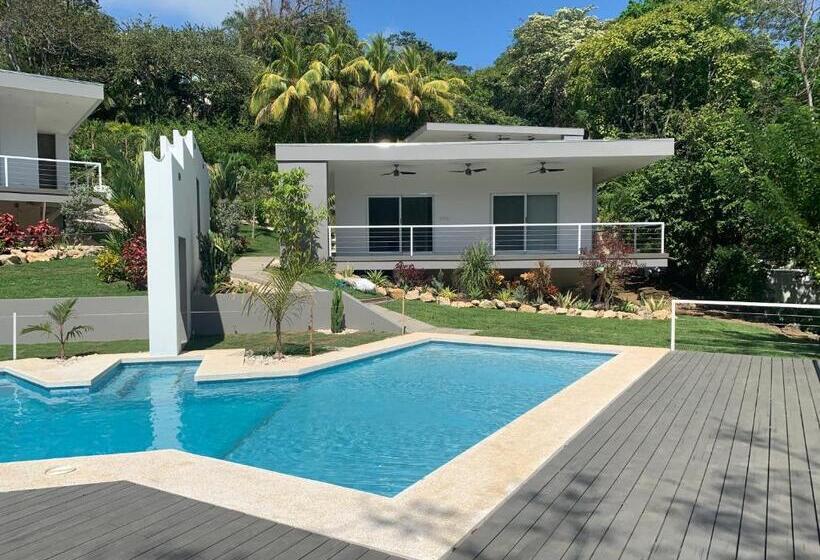 Aves Hotel Montezuma