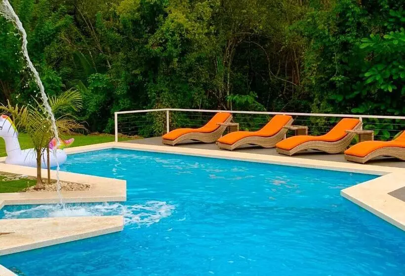 Aves Hotel Montezuma