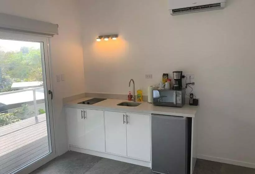 Aves Hotel Montezuma