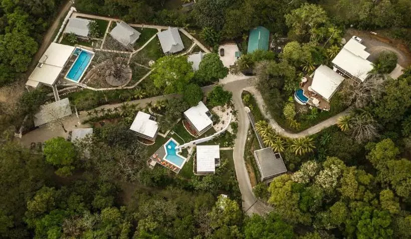 Aves Hotel Montezuma