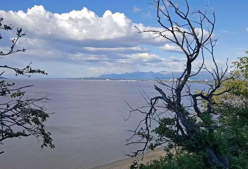 ホテル Americas Best Value Inn & Suites Anchorage Airport