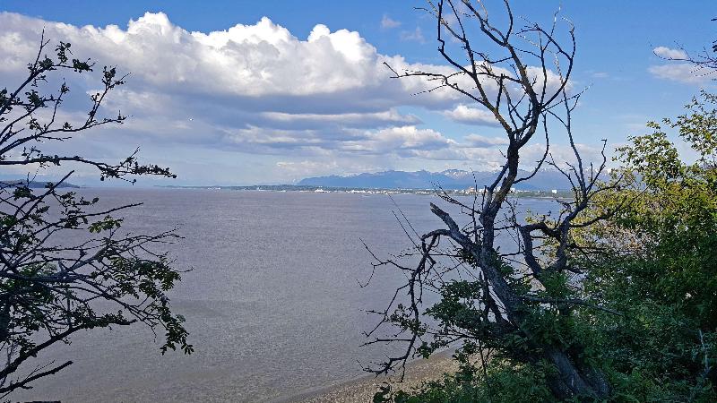 ホテル Americas Best Value Inn & Suites Anchorage Airport