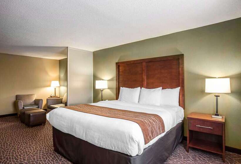 ホテル Comfort Inn & Suites Kannapolis Concord