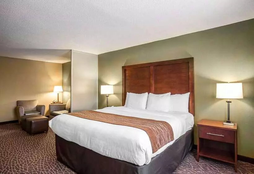 Отель Comfort Inn & Suites Kannapolis   Concord