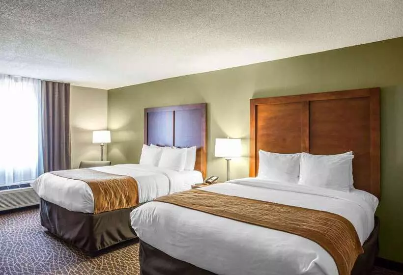 Отель Comfort Inn & Suites Kannapolis   Concord