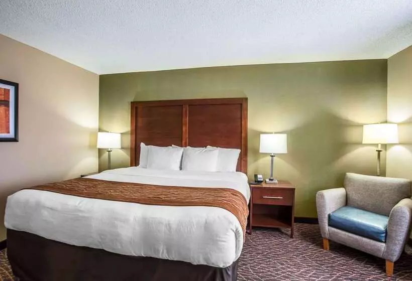 Отель Comfort Inn & Suites Kannapolis   Concord