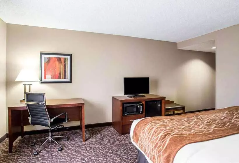 Отель Comfort Inn & Suites Kannapolis   Concord