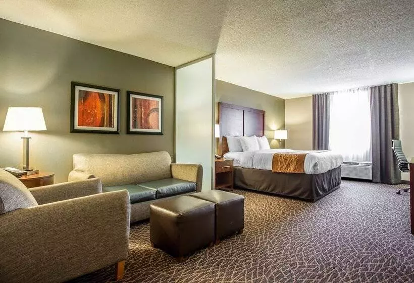 Отель Comfort Inn & Suites Kannapolis   Concord