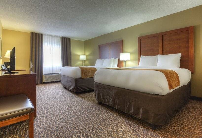 ホテル Comfort Inn & Suites Kannapolis Concord