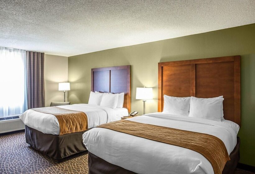 ホテル Comfort Inn & Suites Kannapolis Concord