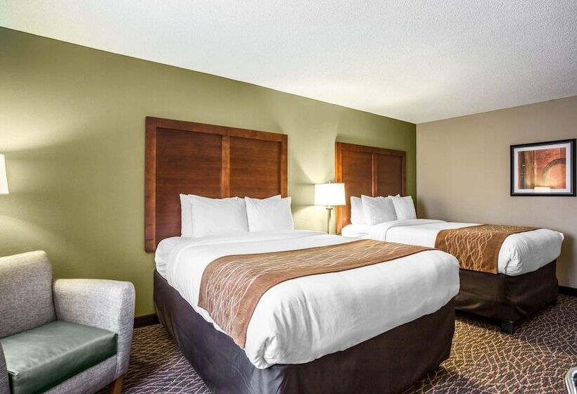 ホテル Comfort Inn & Suites Kannapolis Concord