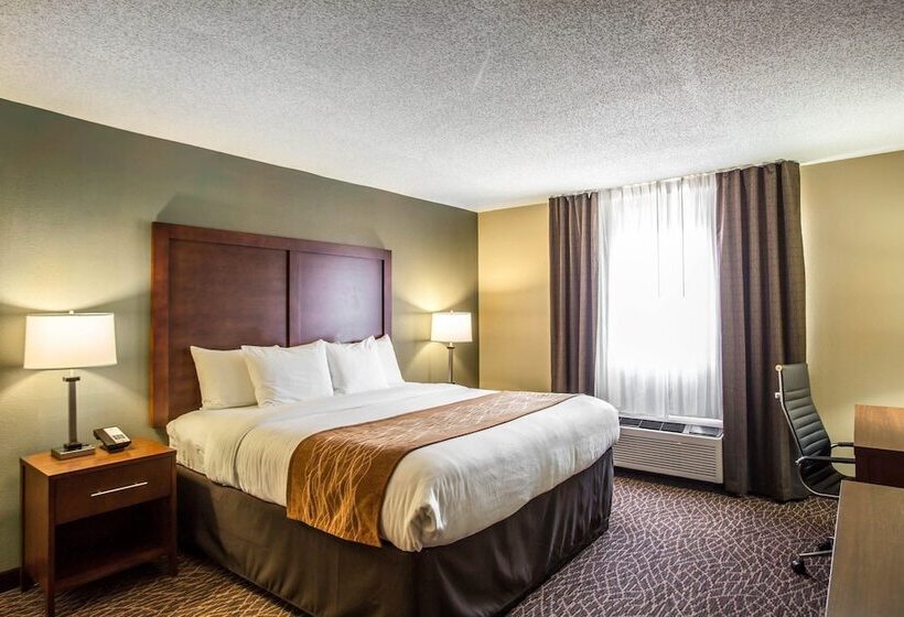 ホテル Comfort Inn & Suites Kannapolis Concord