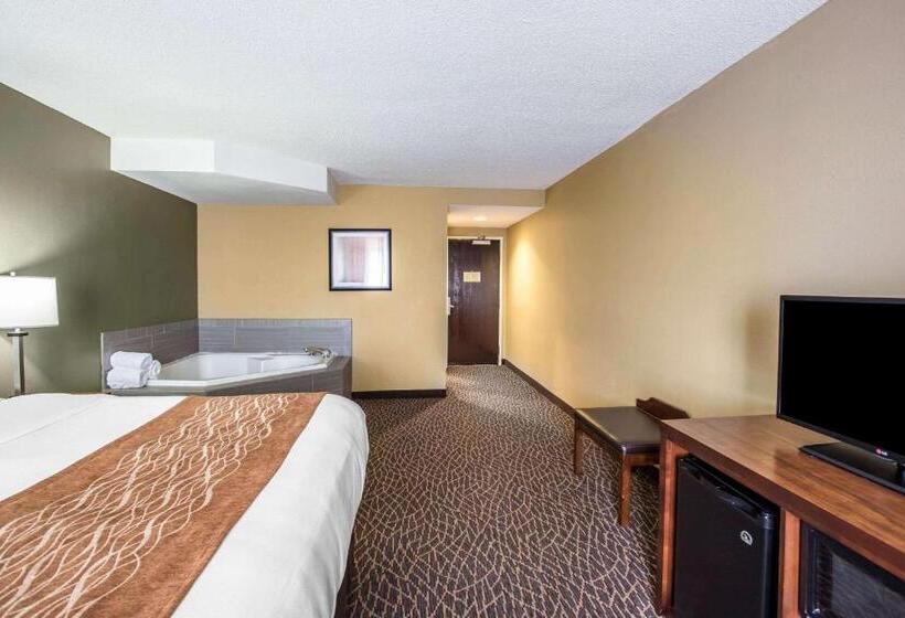 ホテル Comfort Inn & Suites Kannapolis Concord