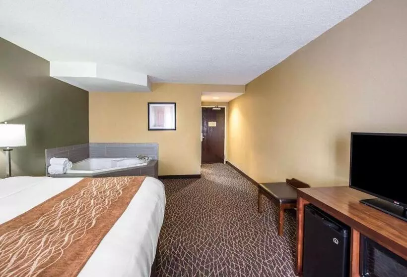 Отель Comfort Inn & Suites Kannapolis   Concord