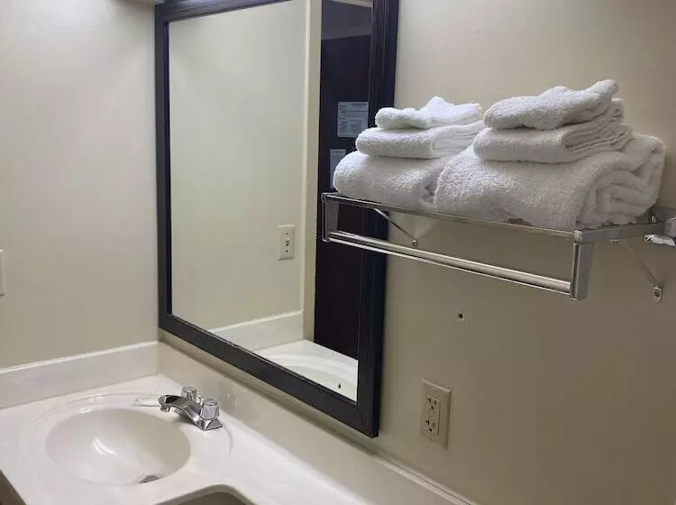 Отель Suburban Studios Auburn Hills   Detroit