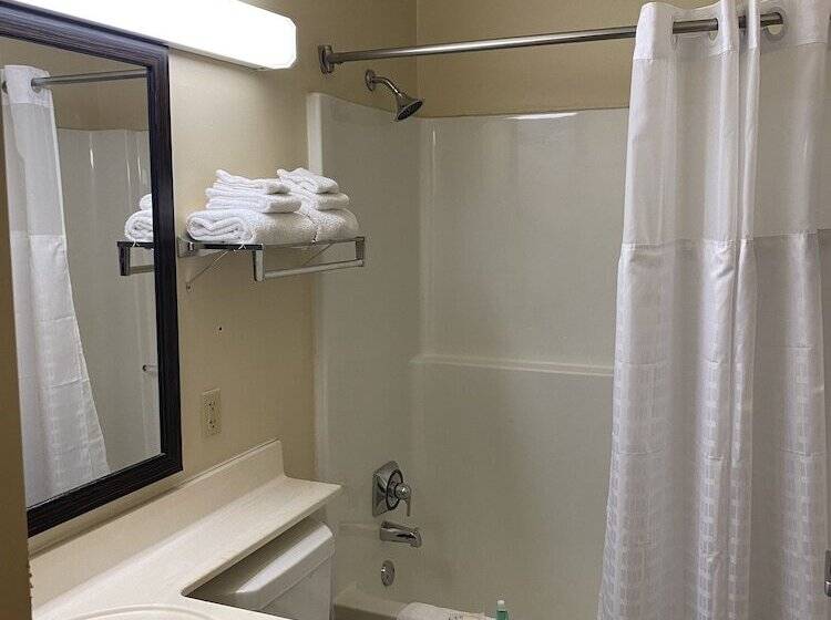 בית מלון כפרי Suburban Studios Auburn Hills   Detroit