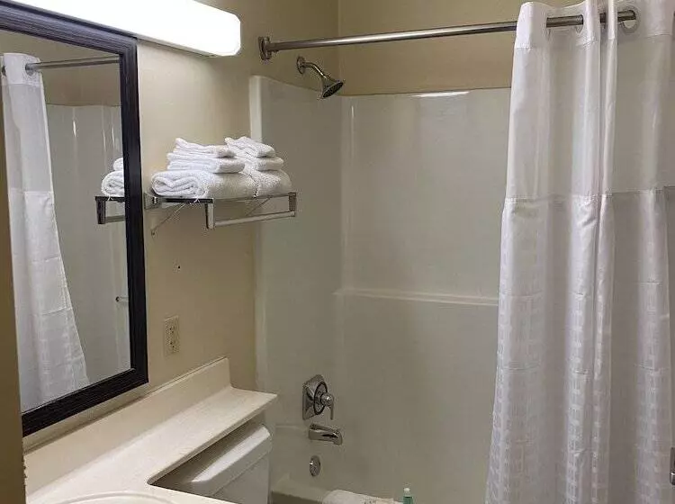 Отель Suburban Studios Auburn Hills   Detroit