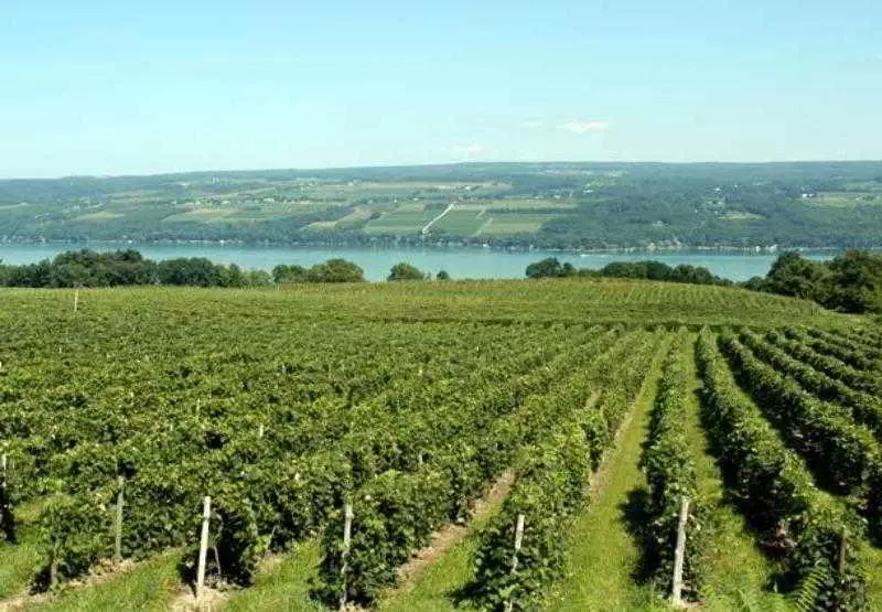 호텔 Fairfield Inn Roseville