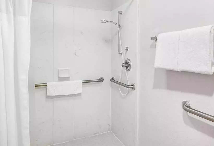 酒店 Fairfield Inn & Suites By Marriott Atlanta Alpharetta