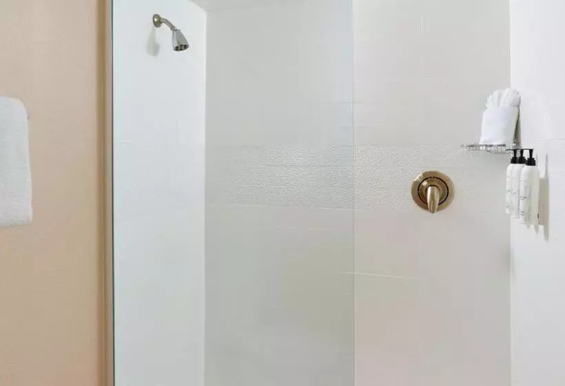 酒店 Fairfield Inn & Suites By Marriott Atlanta Alpharetta