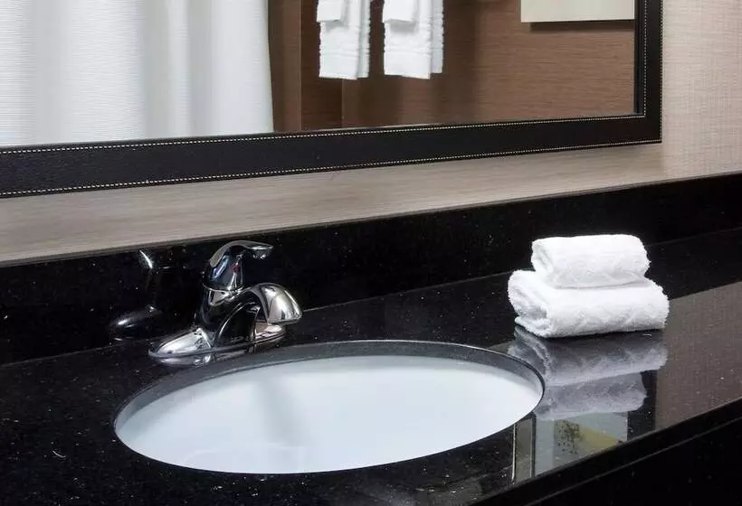 ホテル Fairfield Inn & Suites By Marriott Branson