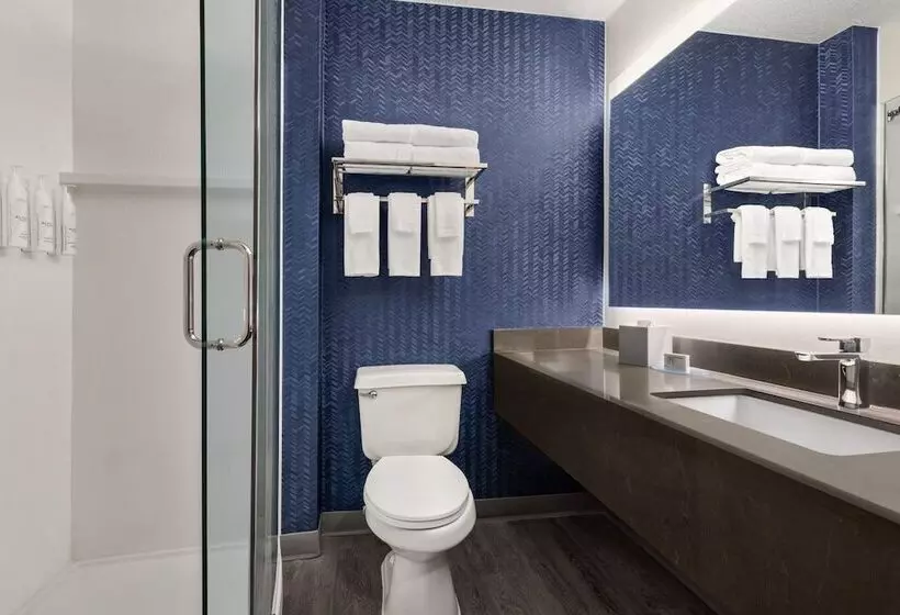 酒店 Fairfield Inn & Suites Findlay