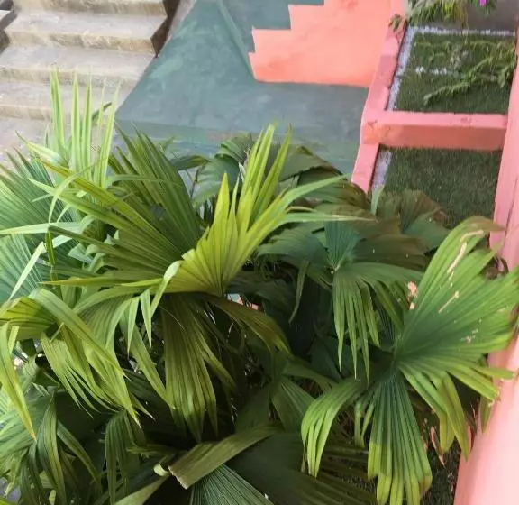 Majatalo Pousada Tayan Floripes