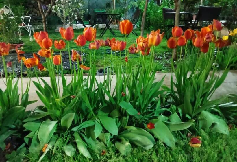 Pensão Residencial Playa Lisa