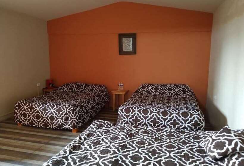 住宿加早餐  Real De Ariza