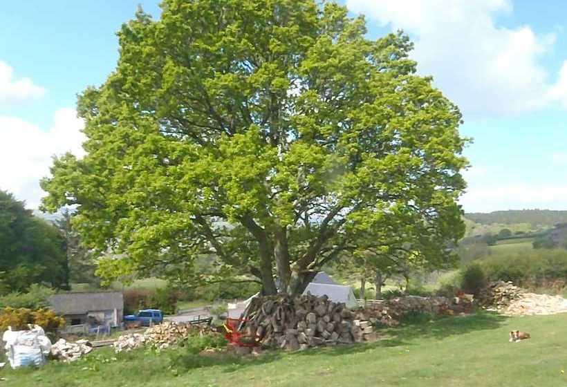 مبيت وإفطار Yarningale