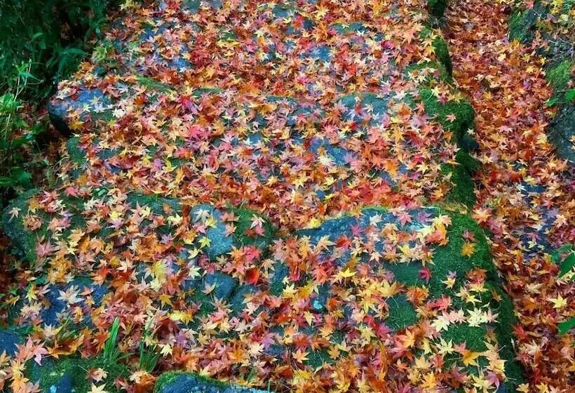 Majatalo Akitsuki Kominka Yado You