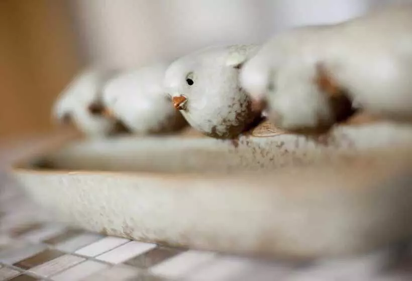 Aamiaismajoitus (B&B) Bollard Bay House