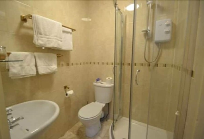 住宿加早餐  The Old Alma