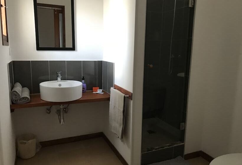 هتل Blue Eagle Guesthouse