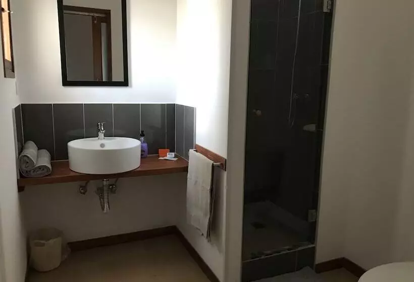 هتل Blue Eagle Guesthouse