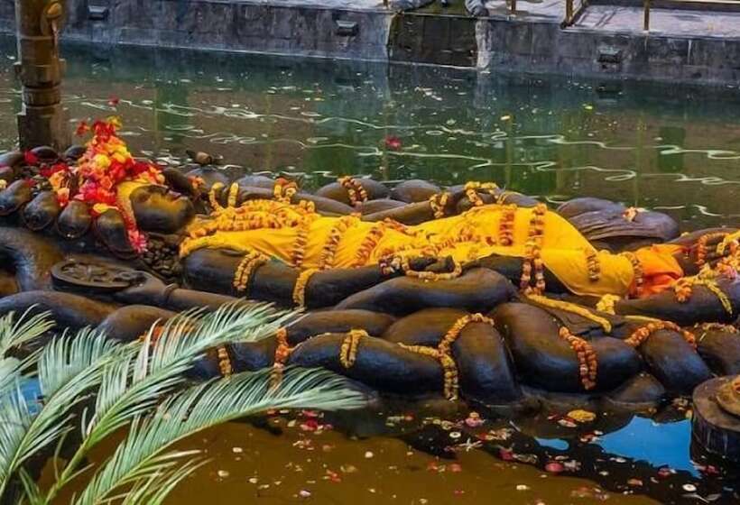 هتل Zyu By Casa Deyra