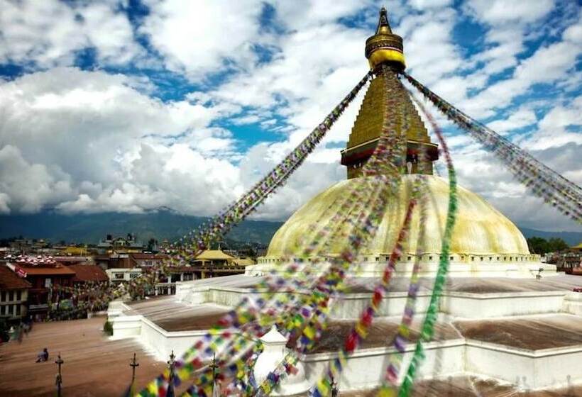 هتل Zyu By Casa Deyra