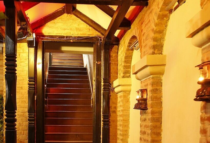 هتل Zyu By Casa Deyra