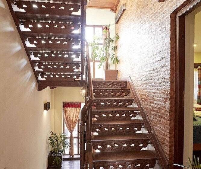 هتل Zyu By Casa Deyra