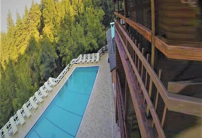 בית מלון כפרי Agva Orman Evleri Forest Lodge