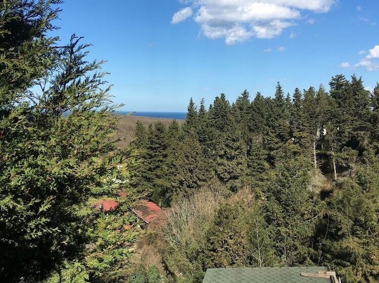 בית מלון כפרי Agva Orman Evleri Forest Lodge