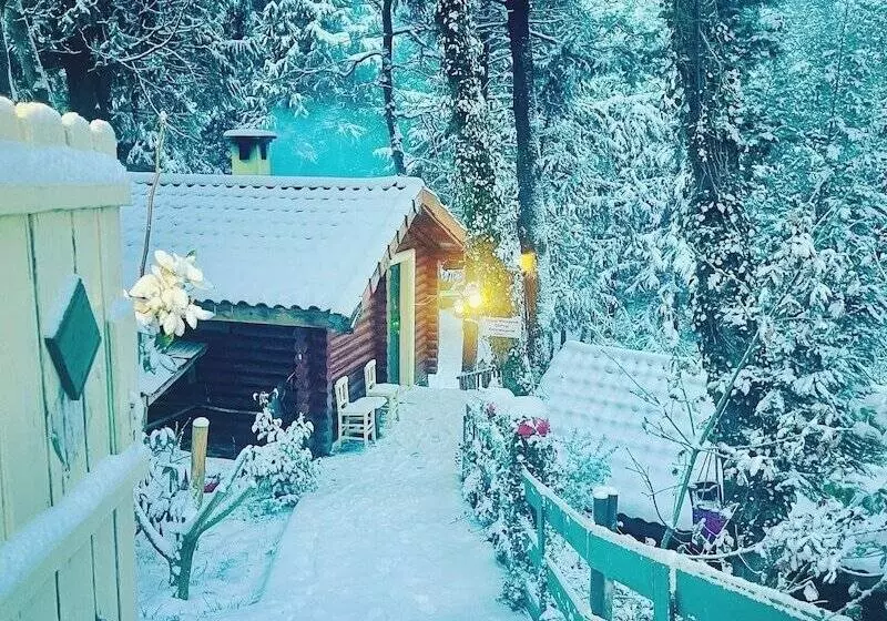 هتل Agva Orman Evleri Forest Lodge