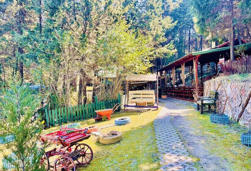 בית מלון כפרי Agva Orman Evleri Forest Lodge