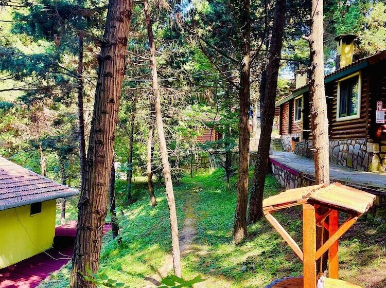 בית מלון כפרי Agva Orman Evleri Forest Lodge