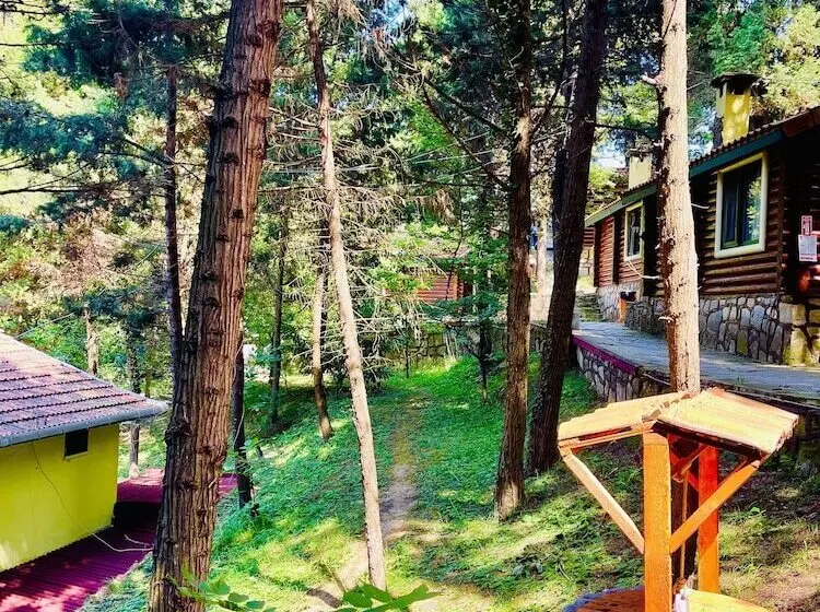 هتل Agva Orman Evleri Forest Lodge