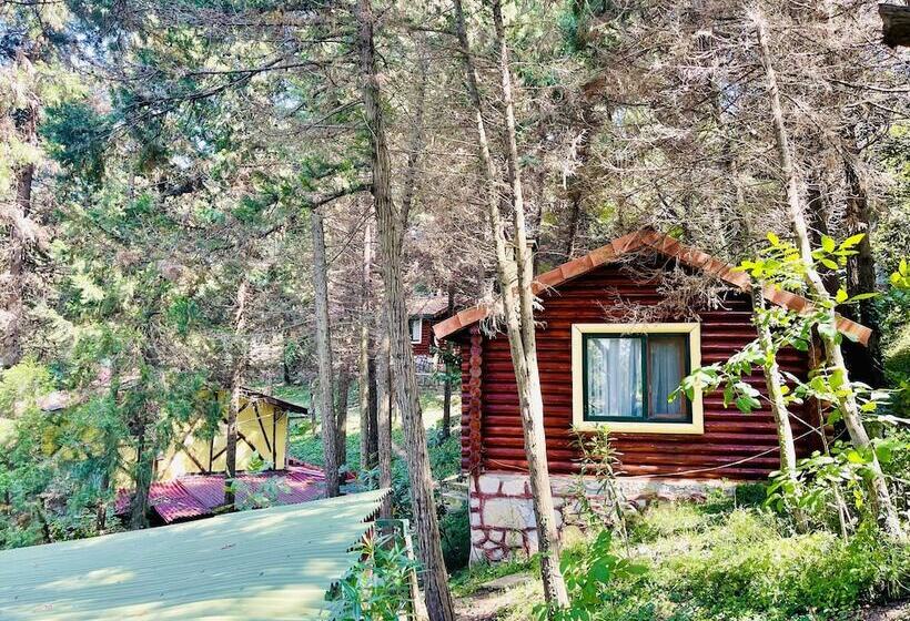 בית מלון כפרי Agva Orman Evleri Forest Lodge