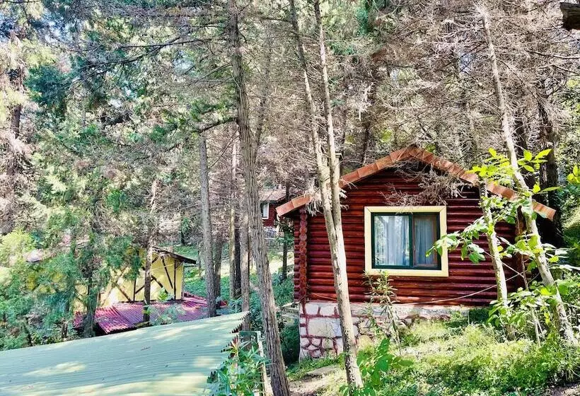 هتل Agva Orman Evleri Forest Lodge