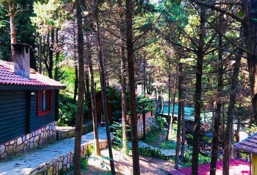בית מלון כפרי Agva Orman Evleri Forest Lodge