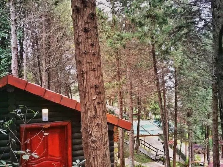 هتل Agva Orman Evleri Forest Lodge